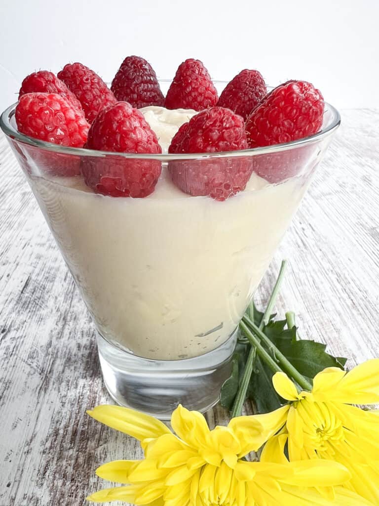 LactoseFree Vanilla Pudding Recipe Loveable Lemons
