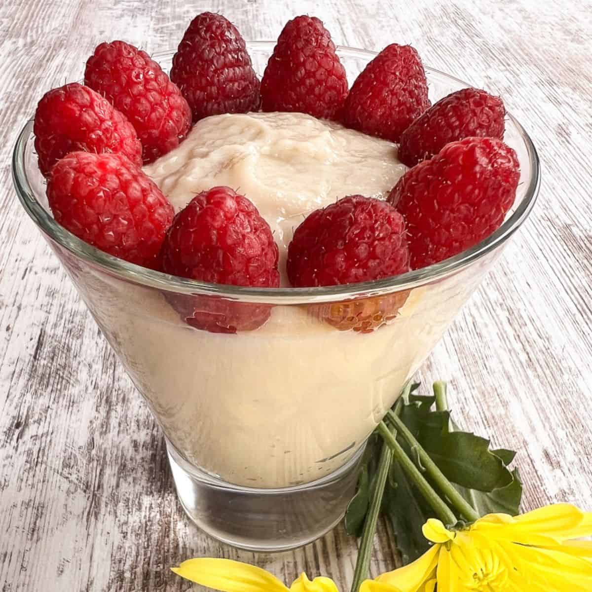 LactoseFree Vanilla Pudding Recipe Loveable Lemons