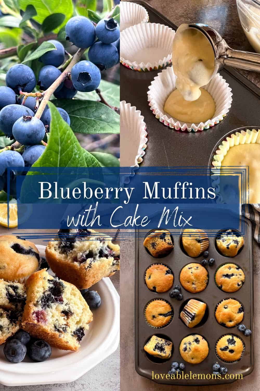 The Easiest Blueberry Muffins Using A Cake Mix