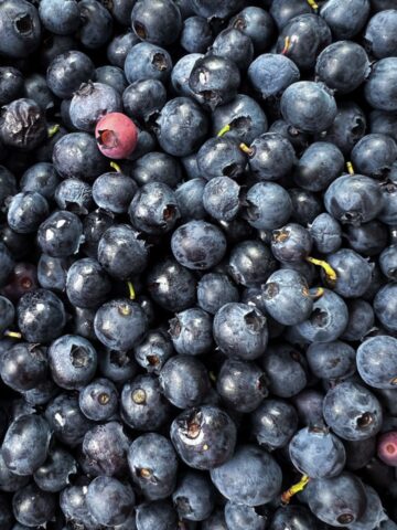 a ton of blueberries.