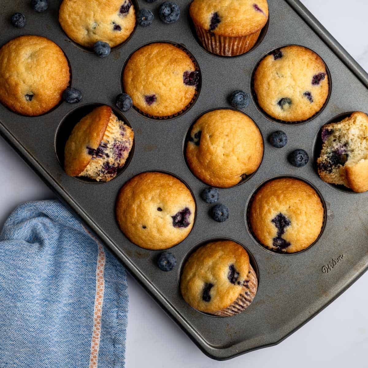 baked blueberry muffins in a muffin tin.