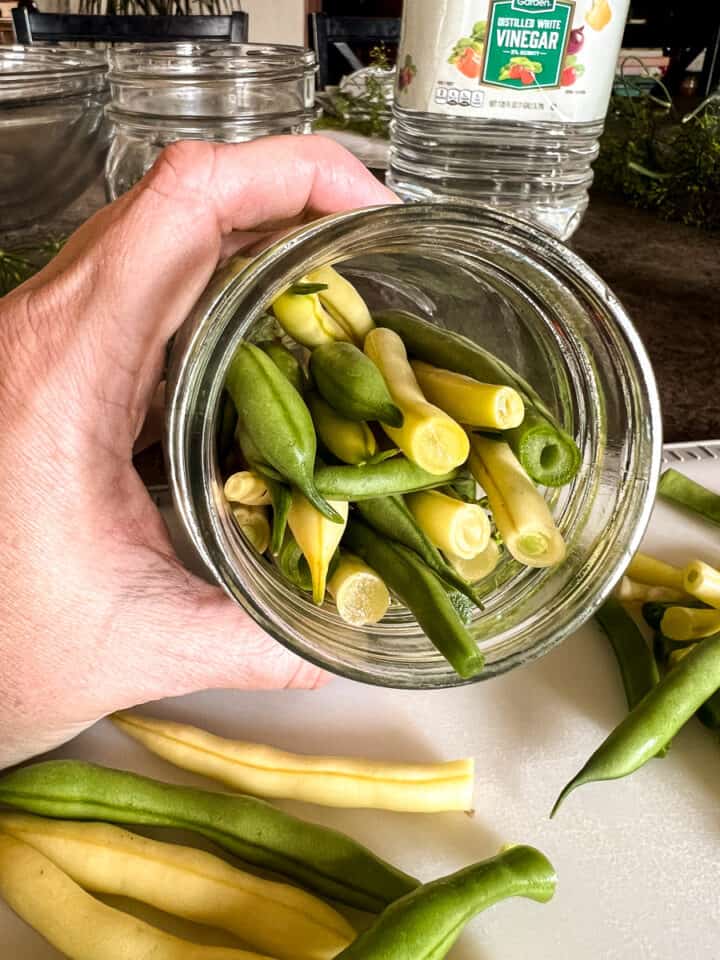 Quick Refrigerator Pickled Green Beans (Dilly Beans)