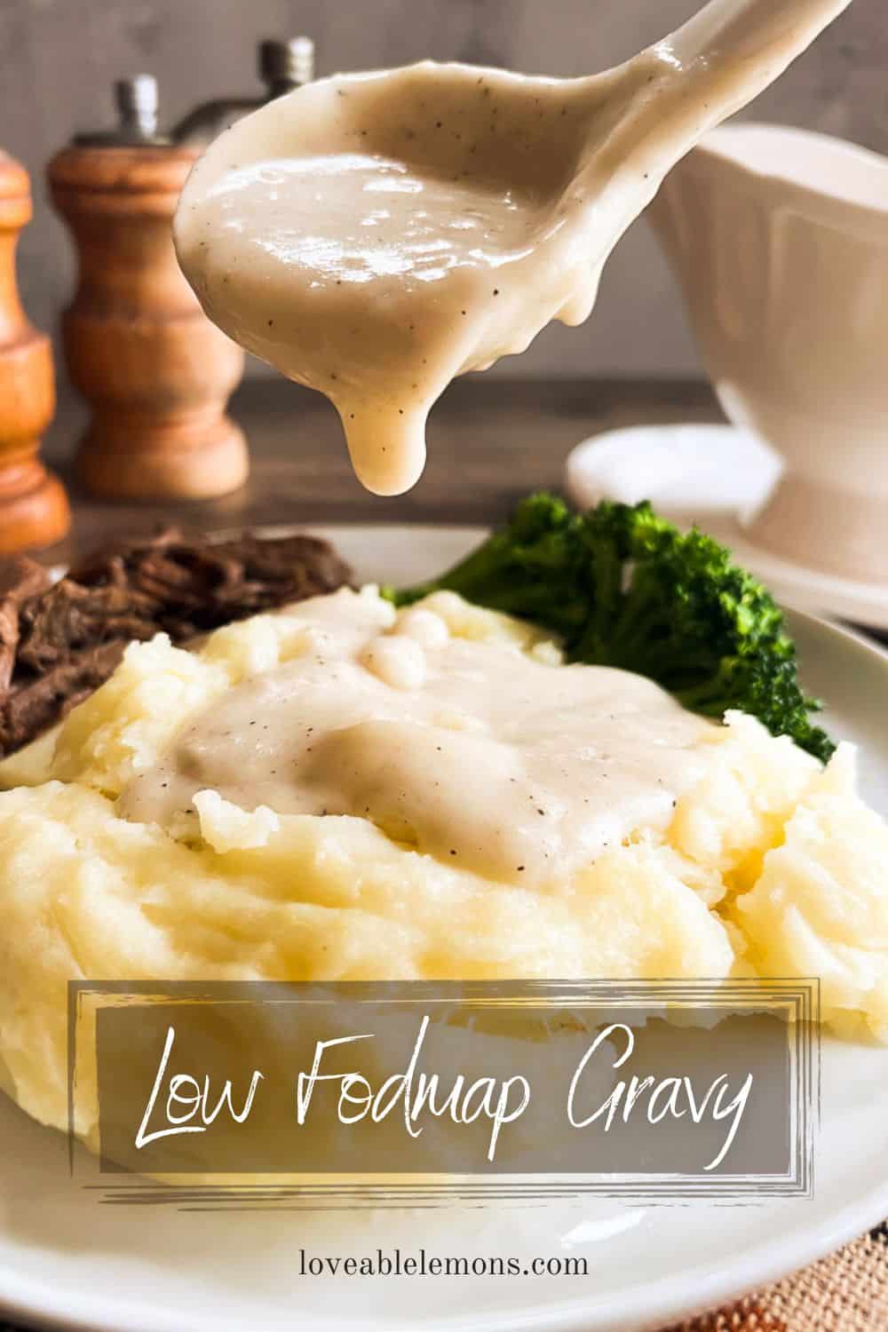 Traditional Low FODMAP Gravy With Gluten Free Flour