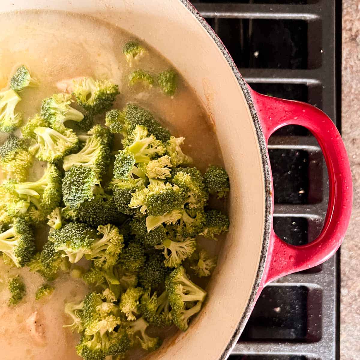 chicken broccoli and chicken broth in a red dutch oven on the stovetop.