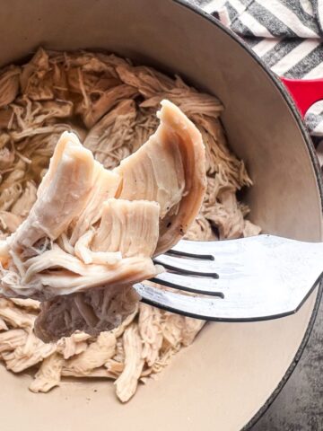 shredded chicken on a fork.