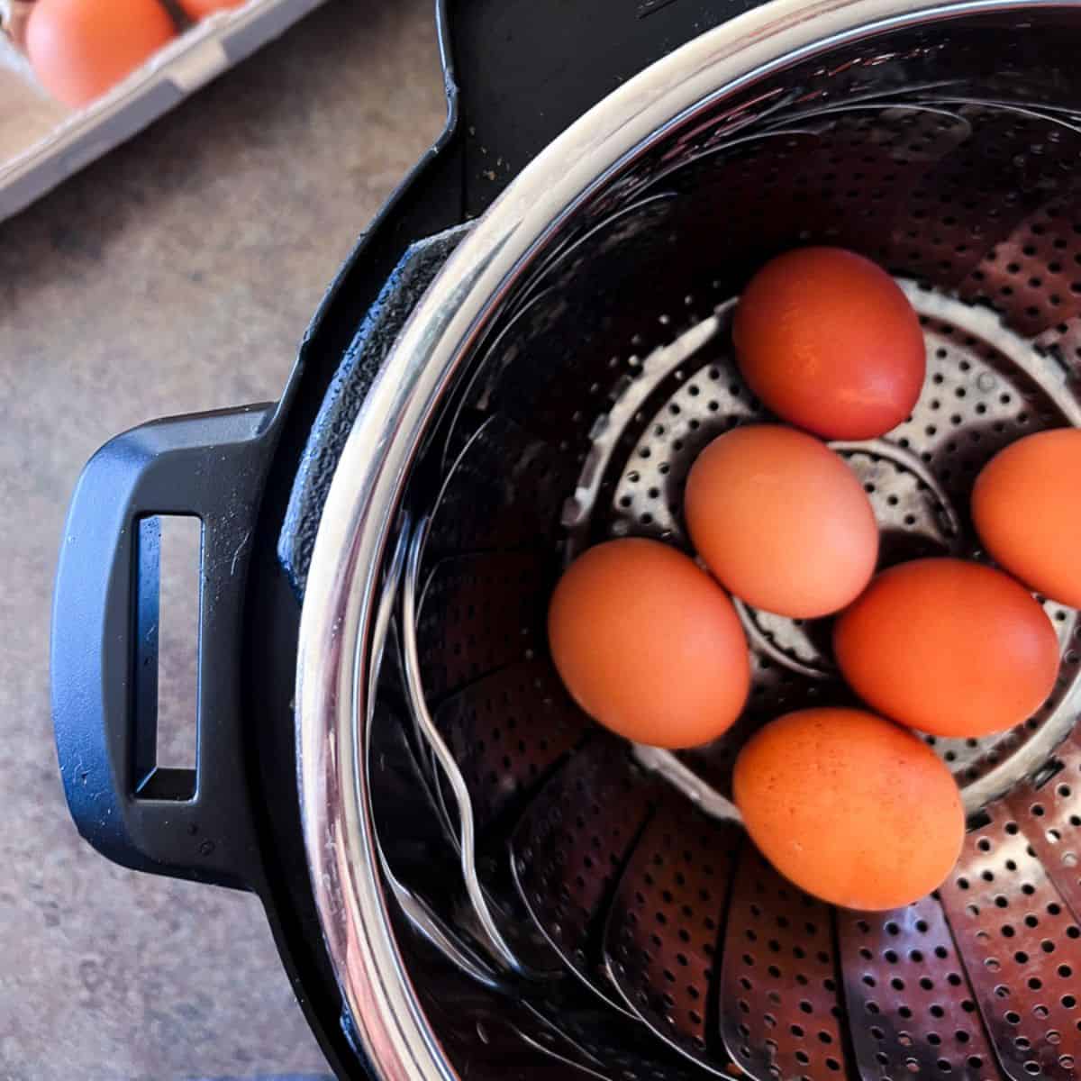 six brown eggs in an instant pot.