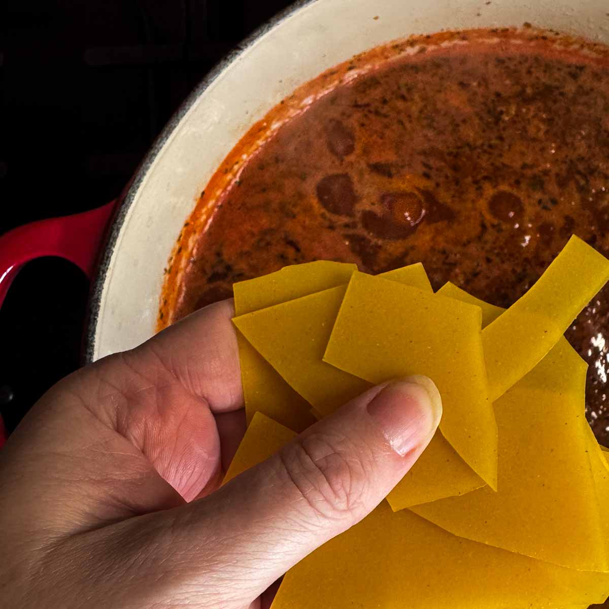 broken lasagna noodles added to the soup mixture.