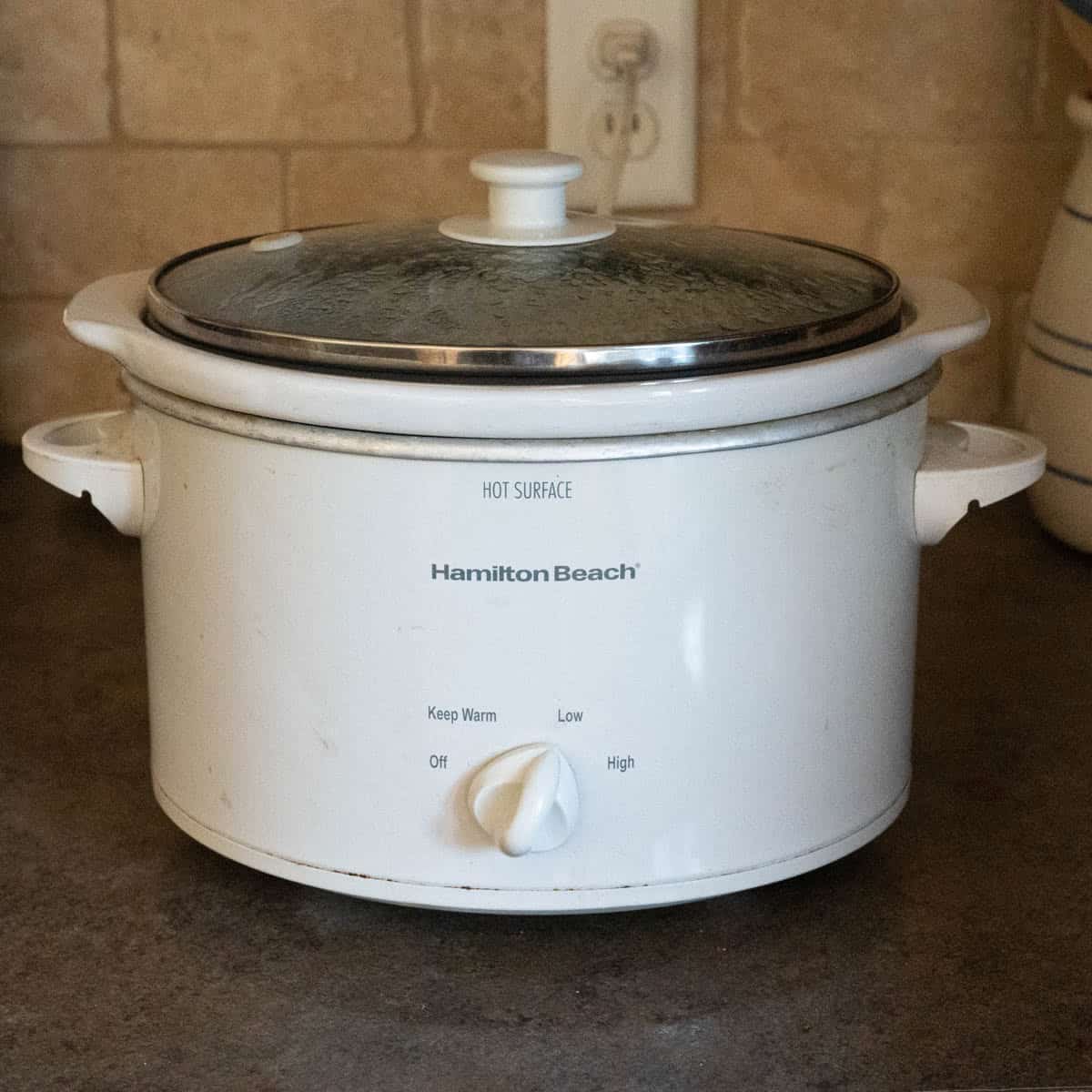 white 4 quart slow cooker cooking turkey tenderloins. 