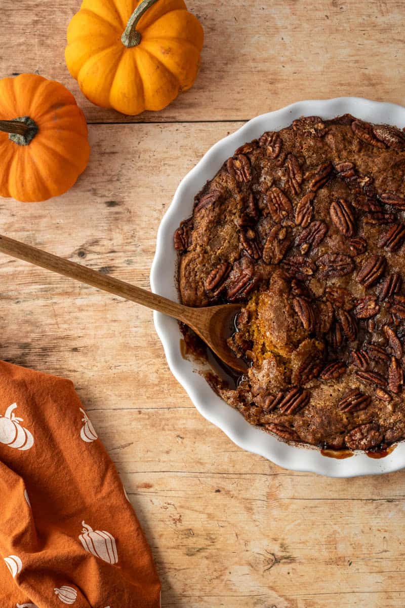 pumpkin cake in a pie plate with a wooden spoon and small pumpkins.