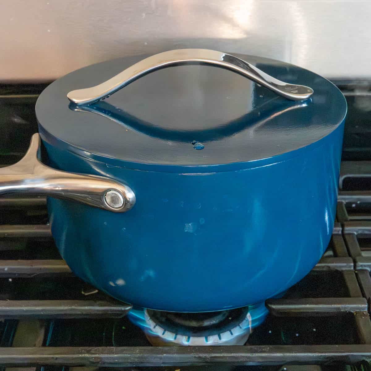 blue saucepan cooking wild rice on the stovetop.